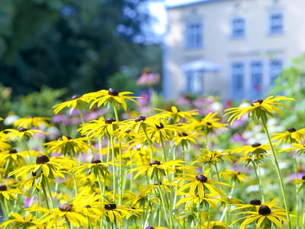 Ferienwohnung Gutshaus Landsdorf Zimmer foto